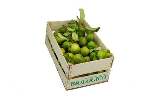 Limoni Primofiore Biologici